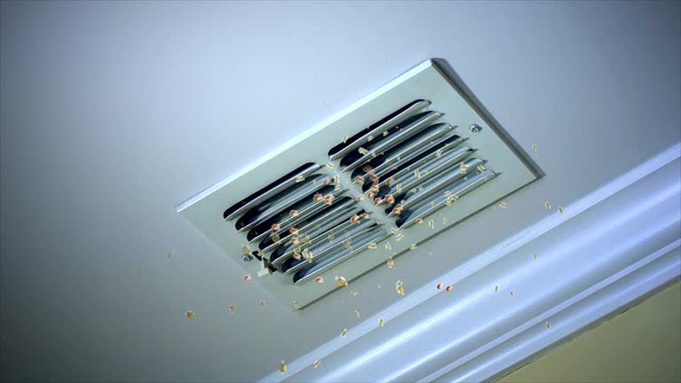 Best Professional Duct Cleaning Services  in Lake Waccamaw, NC